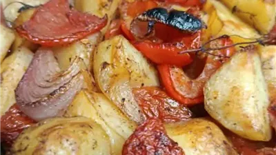 لمحة نيوز