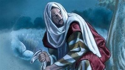قصة صديق ونصف