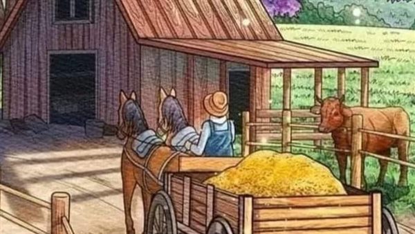 لمحة نيوز